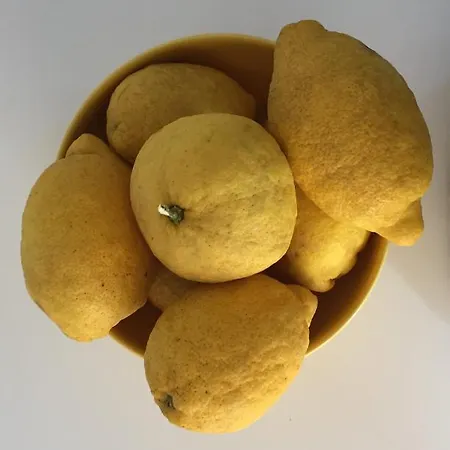 Atlantic Sol Oasis アパート コスタ・ダ・カパリカ