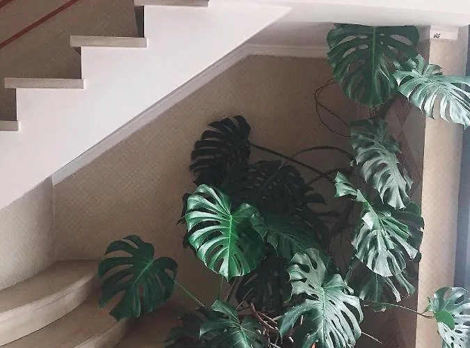 Atlantic Sol Oasis Appartamento Costa da Caparica