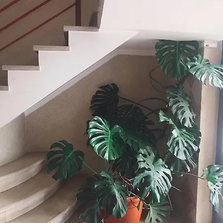 Atlantic Sol Oasis Apartamento Costa da Caparica