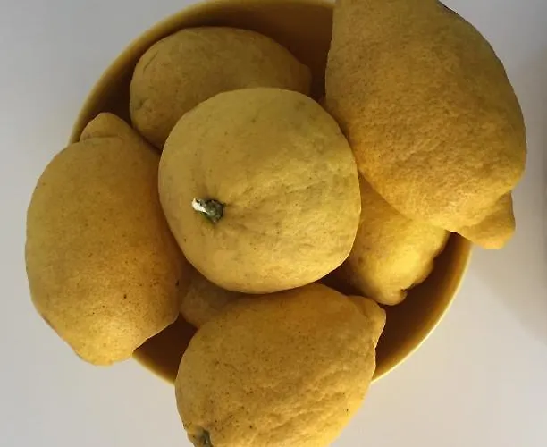 Atlantic Sol Oasis Apartman Costa de Caparica